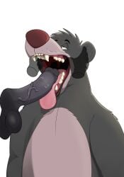 absurd_res anthro balls baloo disembodied_hand duo fellatio fur genitals ghost_hands grey_body grey_fur hi_res looking_up magzol male male/male mammal mouth_shot open_mouth oral penile penis penis_on_tongue sex sharp_teeth solo_focus tagme teeth the_jungle_book tongue tongue_out transparent_background ursid