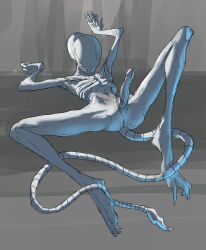 alien alien_(franchise) claws digital_media_(artwork) genitals hi_res long_tail lying male male_only neomorph on_back penis presenting presenting_penis scuotivento simple_background skinny slim solo spread_legs spreading tail unusual_anatomy unusual_genitalia unusual_penis white_body