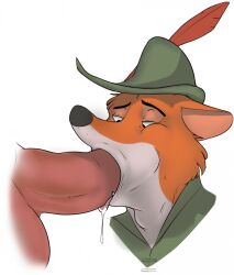 anthro balls bodily_fluids canid canine disney drooling duo fellatio fox full_mouth fur genitals hewge hi_res looking_down male male/male mammal open_mouth oral orange_body orange_fur penile penis robin_hood robin_hood_(disney) saliva sex solo solo_focus