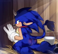 anthro blueseamoon cuntboy femboy furry intersex milk pussy sonic_the_hedgehog vagina