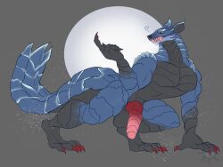 2022 anthro balls beckoning biped black_balls black_body black_sclera blue_body capcom claws daikuhiroshiama digital_media_(artwork) digitigrade erection fanged_wyvern fangs genitals gesture grey_background hi_res knot looking_at_viewer lunagaron male male_only monster_hunter multicolored_body penis red_claws red_penis simple_background solo two_tone_body video_games yellow_eyes