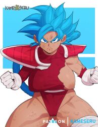 oc from dragon ball by detnox