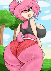 amy rose from sega by bmayneart