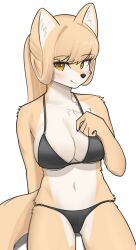 2022 anthro areola areola_slip bikini black_nose blep blush breasts camel_toe canid canine cleavage clothed clothing female female_anthro fox fur furry genital_outline hair hi_res jeifier kemono korfiorano looking_at_viewer mammal multicolored_body multicolored_fur navel pussy_outline rebekah solo swimwear tan_body tan_fur tan_hair tongue tongue_out two_tone_body two_tone_fur white_body white_fur yellow_eyes