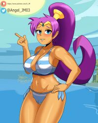 shantae (character) from shantae by a jnsfw