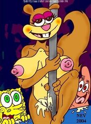 Spongebob Squarepants (Character) Rule 34 Image