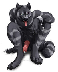 1boy 2010 anthro balls blackteagan canine canine_penis chains cum fur furry knot male male_only nude penis solo wolf