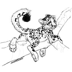 anus ass branch cute ear feline female feral fur furry hindpaw leopard lounging moss original_character pussy raised_tail relaxing rosettes sefeiren snow_leopard solo tail tree whiskers