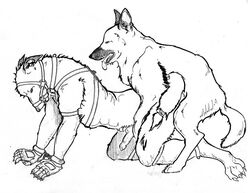 animal anthro_bestiality bondage canine canine_penis doggy_style feral furry furry_only gagged gay gloves interspecies knot male mulefeet muzzled penis