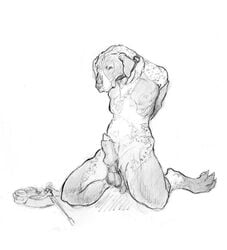 1boy balls canine canine_penis collar knot knot_in_sheath male male_only mulefeet penis pose sheath solo