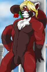 1boy anthro artimas flaccid male male_only muscular muscular_male nude panda penis pose red solo uncut