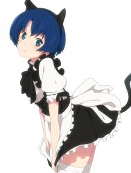 alternate_costume animal_ears ano_natsu_de_matteru apron ascot bad_id bad_pixiv_id black_dress blue_eyes blue_hair blush cat_ears cat_tail clothes_pull dress enmaided fake_animal_ears female kemonomimi_mode leaning_forward maid ogipote short_hair skirt skirt_pull solo tail tanigawa_kanna thighhighs white_thighhighs zettai_ryouiki