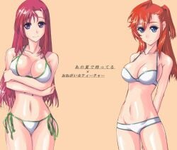 2girls ano_natsu_de_matteru arms_behind_back bikini blue_eyes breasts cleavage commentary_request creator_connection crossover kazami_mizuho large_breasts long_hair multiple_girls navel nenchi onegai_teacher photoshop_(medium) red_hair shiny shiny_skin side-tie_bikini smile swimsuit takatsuki_ichika