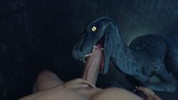 big_penis blue_(jurassic_world) cum cum_in_mouth cum_on_tongue dinosaur fellatio fellatio_from_feral female first_person_view genital_danger_play hand_holding human male_on_feral oral sharp_teeth velociraptor zoophilia