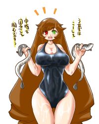 brown_hair female heterochromia huge_breasts itini-sanshi long_hair rozen_maiden suiseiseki swimsuit tagme