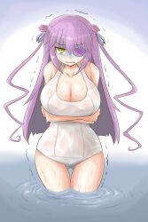 barasuishou female huge_breasts itini-sanshi purple_hair rozen_maiden swimsuit tagme