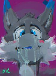 absurd_res anthro black_eyebrows blue_body blue_ears blue_eyes blue_fur blush bodily_fluids bust_portrait cheek_tuft cum cum_on_face dipstick_ears eyebrows facial_tuft front_view fur genital_fluids glistening glistening_eyes grey_body grey_ears grey_fur grey_head_tuft grey_inner_ear_fluff head_tuft hi_res inner_ear_fluff male male_focus male_only multicolored_ears oselotti portrait signature solo tuft