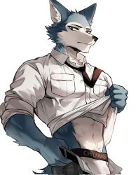 abs anthro beastars bottomwear bulge canid canine canis chung0_0 clothing hi_res jockstrap legoshi_(beastars) male male_only mammal multicolored_body muscular muscular_anthro muscular_male necktie pants pubes shirt solo topwear two_tone_body underwear unzipped unzipped_pants wolf