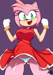 amy_rose aonoexorcist100 green_eyes panties sega sonic_(series) sonic_the_hedgehog_(series)