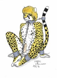 2000 anthro big_cat blond_hair bondage bound bound_male bound_tail chains cheetah cock cuffs dick erection feline furry hinoki ironbadger male male_only nipple_piercing nipples penis piercings spots