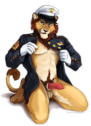 1boy balls barbs blackteagan blue_eyes bottomless color erection feline furry hat lion male male_only military muscles open_clothes penis pose solo uniform white_background