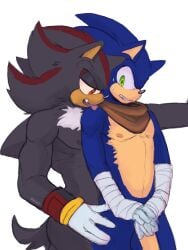 aciidtron anthro balls duo genitals hi_res licking male male/male male_only muscular muscular_male nipples penis sega shadow_the_hedgehog sonic_(series) sonic_boom sonic_the_hedgehog sonic_the_hedgehog_(series) tongue