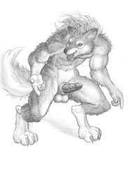 1boy anthro arjuna balls big_balls buff canine erection fur furry male male_only penis pinup sheath sketch solo werewolf wolf