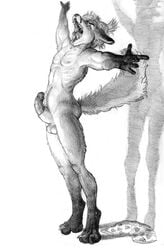 arjuna bent_penis bottomless canine clothes erect_penis erection fox fur furry_ears furry_tail greyscale male male_only monochrome nude open_mouth penis pinup sheath sketch solo standing stretch tail testicles topless yawn