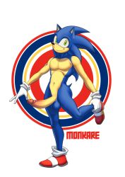 anthro balls big_penis casual eulipotyphlan exposed_torso footwear genitals handwear handwear_and_footwear_only hedgehog huge_cock kareca male mammal mostly_nude navel pecs penis sega solo sonic_(series) sonic_the_hedgehog sonic_the_hedgehog_(series)