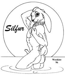 1990s 1996 20th_century 90s anthro ass black_and_white collar ear erection fur furry lagomorph looking_at_viewer male male_only monochrome muscles nude penis rabbit raised_tail silfur solo tail water wet wooky year