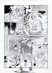 amakuchi bed caught clothing comic covering_up feline furry furry_only gay high_resolution jin_crow male monochrome ninja no_humans nude raihi shining_(series) shining_f shining_wind tiger translation_request yaoi