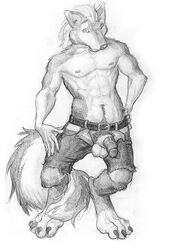 1boy abs anthro arjuna balls ballsack body_fur canine claws fluffy_tail foreskin furry furry_balls hybrid_penis intact jeans long_hair_male male male_nipples male_only male_pubic_hair masculine monochrome muscles muscular_male open_pants pecs penis pinup retracted_foreskin scrotum semi-erect sheath sheathed_humanoid_penis sketch solo testicles topless uncut unzipped veiny_penis wolf