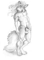 1boy arjuna balls canine fox fur furry_ears furry_tail hair long_hair male male_only nude pinup sheath solo tail