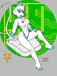 anthro breasts cheesecake chelsea_(original_character) female fur furry joseph_ny mouse rodent solo