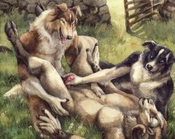 2016 anthro anthro_on_anthro bovid brown_body brown_fur canid canine canis caprine countershade_fur countershade_torso countershading curled_horns domestic_dog fur genitals grass group handjob interspecies kenket male male/male mammal open_mouth open_smile penile penis plant sex sheep smile tongue tongue_out trio