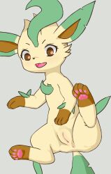 1girls 4_toes anus brown_eyes brown_fur brown_paws canid canine cute_fangs dipstick_ears eeveelution eyelashes feet female feral flat_chest flora_fauna fur furry furry_only green_fur green_tail hi_res highres leaf leaf_tail leafeon long_ears mammal markings nintendo no_nipples open_mouth plant pokemon pokemon_(species) pose pov presenting presenting_pussy pussy smile snout socks_(marking) solo spread_legs tail toes tongue wide_hips wince yellow_fur 天诛剑舞