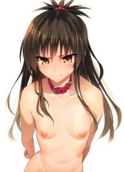 1girls bare_shoulders belly belly_button blush breasts brown_hair collar collarbone dog_collar exposed_breasts exposed_nipples female female_focus female_only flat_chest flat_chested hair_beads hair_bobbles hair_ornament long_hair looking_at_viewer navel nipples petplay ponytail pout simple_background small_breasts solo solo_female solo_focus stomach to_love-ru to_love-ru_darkness topless ts422 white_background yellow_eyes yuuki_mikan