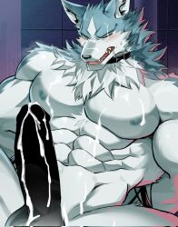 anthro brand_new_animal chung0_0 cum erection male penis shirou_ogami wolf