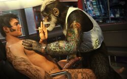 3d_(artwork) anthro ape chest_tattoo chimpanzee digital_media_(artwork) duo erection fur genital_tattoo genitals haplorhine hi_res human humanoid_genitalia huskyman huskyman24 male male/male mammal masturbation nipples nude primate stroking tattoo