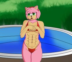 abs amy_rose bikini female furry looking_away muscular muscular_female nap´sart pouting sonic_(series) sonic_the_hedgehog_(series) swimsuit