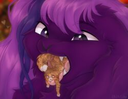 <3_eyes ambiguous_gender anthro blush chibichuuwu digital_media_(artwork) domestic_cat duo felid feline felis feral floppy_ears fluffy fur hair heart lagomorph leporid liozn_the_spacebun long_hair male male/male mammal open_mouth oral_vore purple_body purple_fur purple_hair rabbit shy size_difference soft_vore teasing teeth tongue tongue_out vore whiskers