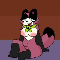 anthro badger bed black_body black_fur breasts canid canine cartoon_network digital_media_(artwork) domestic_cat felid feline felis female fur furniture genitals green_eyes happy hi_res looking_pleasured lyncario mammal mao_mao:_heroes_of_pure_heart mustelid musteline nipples nude open_mouth pink_nipples pussy raccoon_dog simple_background smile solo tanuki tanya_keys text