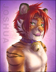 1boy 2010 anthro bell collar cum feline fur furry joshua male male_only solo tiger zen