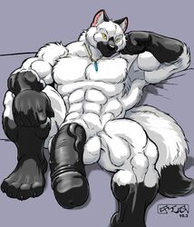 1boy 2010 abs anthro armpits balls big_penis canine fur furry huge_cock huge_muscles hyper iridium kencougr male male_only muscles nude penis solo tail white_fur wolf yellow_eyes