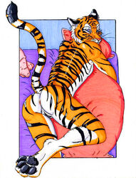 2008 Rule 34 Image