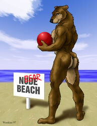 1990s 1997 1boy 20th_century ass beach bear brown_fur color furry male male_only muscles seaside solo standing wooky year