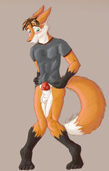 1boy 2010 aleron balls blush bottomless canine canine_penis embarrassed erection fox fur furry_ears furry_tail knot male male_only penis solo tail