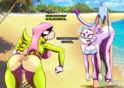 blaze the cat from idw publishing by the killer wc