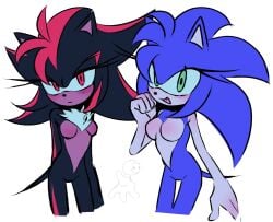 2girls a_k1as bangs black_fur blue_fur breast_size_difference breasts chest_tuft eulipotyphlan eyelashes female furry furry_female genderswap_(mtf) green_eyes no_nipples nude red_eyes red_highlights rule_63 sa1k_a shade_the_hedgehog shadow_the_hedgehog sonic_(series) sonic_the_hedgehog sonic_the_hedgehog_(series) sonique_the_hedgehog tail tomboy