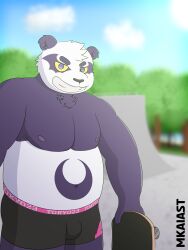 alp_(tokyo_afterschool_summoners) bear blurred_background blurry_background boxers bulge chubby furry furry_only mkaiast nipples panda shirtless skateboard solo_male tokyo_afterschool_summoners underwear